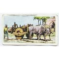 Charter Tea Card Transport Through the Ages No....