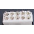 10 MES E10 12V 12 VOLT BULBS PECO HORNBY MODEL ...