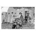 pt3949 - Sheep Clipping 1910 , Step Ends , Renf...
