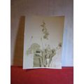 SWING, FAIRGROUND RIDE small photograph 1930s =