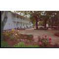 USA Postcard - Court Yard At Castro House, San ...