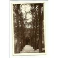 Warwickshire YARDLEY OLD CHURCH Avenue Postcard