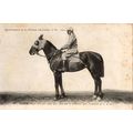 Inula La France Chevaline 1908 Race Horse Antiq...