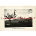Volcanic Tropical Landscape, Java, Indonesia, B...
