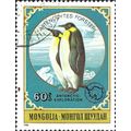MONGOLIA, BIRD, Emperor Penguin, Aptenodytes fo...