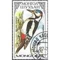 MONGOLIA, BIRD, Great Spotted Woodpecker, Dendr...