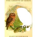 The Ghosts of Birds