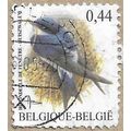 2004 - Common House Martin - 16202