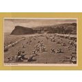 The Ness, Teignmouth. - Postally Unused - M&L P...