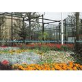 D102599 Dutch Greenhouse. Commemorate National ...