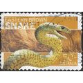 AUSTRALIA, REPTILE, Eastern Brown Snake, orange...