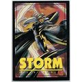 Franklin ' Crunch n Munch ' STORM Marvel card (...