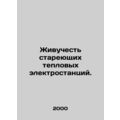 Survival of aging thermal power plants. In Russian /Zhivuchest stareyushchikh t