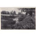 The River, Sturminster Newton Dorset Postcard (...