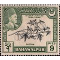 BAHAWALPUR, Cotton, Mohammad Bahawal Khan 1, 19...