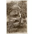 PC19731 The Lake. Burnham Beeches. Hawke. La Ma...