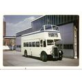 Colour Photograph of Southend Corporation Trans...