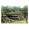 ptc9500 - Yorks - Early view, Floral Piano at B...