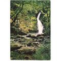Dolgoch Falls, Tywyn, Gwynedd - Dixon postcard ...