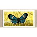 1964 Brooke Bond BUTTERFLIES OF THE WORLD Tea c...