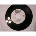 Ronnie Hawkins Promo 45-DOWN IN THE ALLEY LONG/...