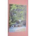 Early Austin Postcard - Spring Valley Trentham,...