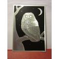 TAWNY OWL...unused postcard animals ...silver o...