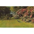 Sub-tropical Gardens, Abbotsbury - Salmon Camer...