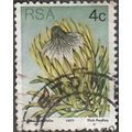 South Africa. 1977 4c Value. Protea Longifolia....