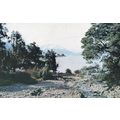 Lake Ohau New Zealand Postcard