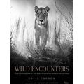 Wild Encounters