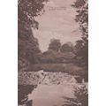 The Lily Pond Alton Towers Staffordshire Antiqu...