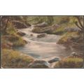 Badgworthy Valley Waterslide, Exmoor, Devon, 19...