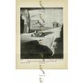 Shades of Night Descending, Salvador Dali, Book...