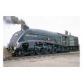 pu3256 - Engine No.60009 Union of South Africa,...