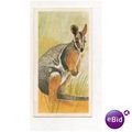 Vintage 1978 Brooke Bond Tea card Vanishing Wil...