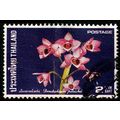 Thailand 1975 Flower Orchid 2B Used Stamp ..
