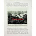 Grounds, Buckingham, Palace, UK, Book Illustrat...