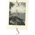 Bombay (Mumbai) From Malabar Hills, India, Book...