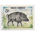 CAMBODIA 1967 FAUNA WILD BOAR 3R USED
