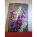 STOCKS flowers. used postcard 1965 postmark J A...