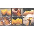 Portugal 1999 Michel 2365 - 2370 Neuf ** Cote (...