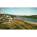 Panorama Walk, Barmouth, Wales, Postcard, 1960s