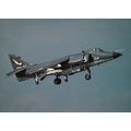 British Aerospace Harrier FRS1 899 Squadron at ...