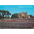 Heacham Norfolk Lavender Postcard posted 1994 c...