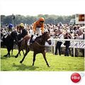 Horseracing photo THE KIDDYKID Jamie Spencer YO...