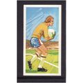 Brook Bond Play Better Soccer SAVING A HARD SHO...