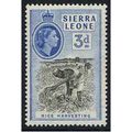 Sierra Leone 1956 3d Black & Bright Blue Unmoun...