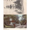 Vidablick Kinnekulle Sweden Swedish Antique Pos...
