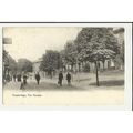Wiltshire TROWBRIDGE The Parade Postcard by Frith